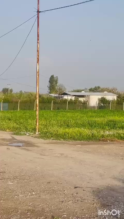 بــــــــــــــاخــــــە نــرخی 235گــــــــڵاومعملــــــــــــــــــــــە
یـــــەک دۆنــــــــم ئــاوکـــــاربـای ســـــەربخـــــــــــــــــــــۆ
ڕێگـەی حولی گـردگـــــــۆزینــــــــــە نـزیک جــــــــــــــــادە
پـەلـەبکەو فەریایکەوە لەدەسـتی خـــــۆتی دەرمـــــــاکـــــــە
ئەم بـاخ سـعری پیشتری 3دەفتـەربوو نرخیمان دابـــــــزاندە
بــــۆزانیاری ***********پـاشـــــا 👉👉👉👉👉👉
