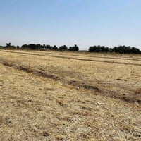 ارض زراعيه • ٤ دونم • طريق كربله-نجف