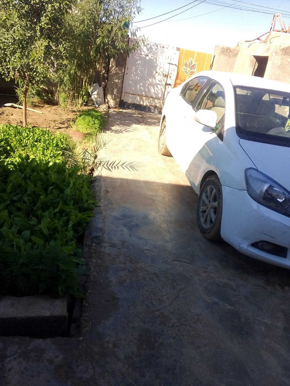 سلام عليكم سيارة گريت ويل ڤولكس موديل 2013 سيارة حلوة أو نضيفه مكينه گير خير من الله سعر34اوبيه مجال للطيبين رقم واسط الماني الستفسار عله الرقم 
***********
