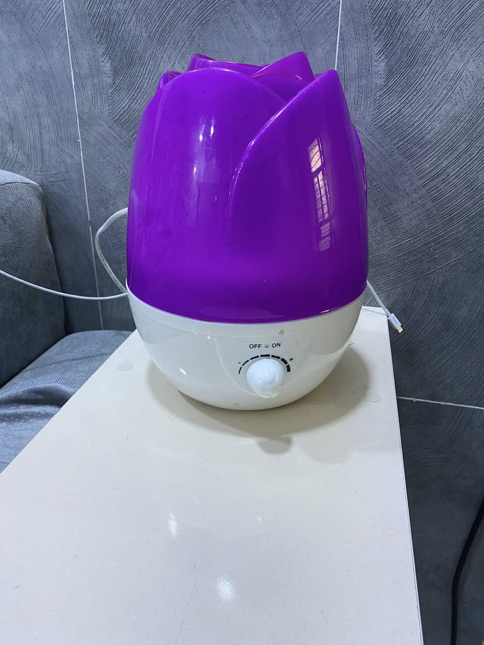 شارع فلسطين


**إذا كنت صاحب هذا الإعلان وتريد حذفه لأي سبب، رجاءا أرسل رسالة إلى الدعم الفني**