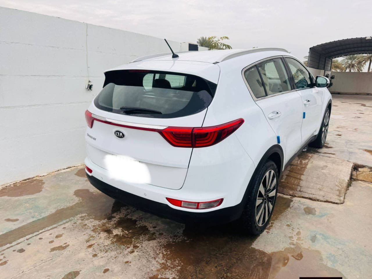 سلام عليكم كيه اسبورتج 18 خليجي
رقم بغداد بسمي ماشيه 126
بل 120ادك جرص 
مري شفط اشاير بل مري حساس امامي خلفي 
زراكات مصباح. بكلايت لدات 
كشنات تغليف جلد معه ارضيه جلد 
مصباح نهاري  مكينه 200دوش 
تحكم استيرن  لسياره نص فول 
لاستفسار ***********
مكان لسياره بابل
