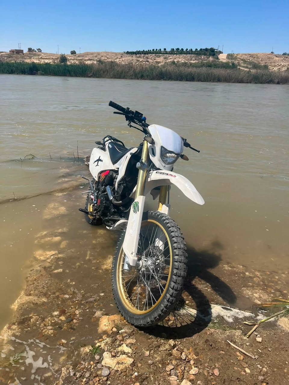 اعادت النشر بسبب الوعود الكاذبه كافيار موديل2024محرك250زنجيل السعر 750وبي مجال ومراوس
عنوان الانبار راوه ***********
