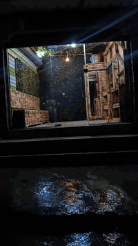 السلام وعليكم اخوان  رايد ابيع هذا الديكور الشراي يتصل ع هذا رقم  بس ديكور الخشب من عده مكان الكعده ما ابيعه  وتصل ع رقم وتدلل  *********** وذا عمود السعر  سهله  خابرني 🩵🤍
