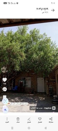 بيت للبيع/ايجار • كربلاء حي العامل • ٢٣٠م