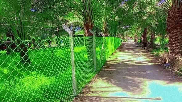 ⁦🟣

🔻عن عمل ونصب جميع انواع اسيجة الBRC ⁦⛏️⁩

🔻وعن عمل جميع انواع الاسيجة العشبية الجميلة 🍀🍀

🔻سعر المتر من 6الف 💸الى 10الف 💸حسب الطلب وحسب نوع السيم ⁦⚒️⁩

🔻يوجد كادر مختص بالعمل 💪

🔻نعمل في كافة محافظات العراق 🚛⁦🚛

🔻للطلب او الاستفسار قم بمراسلة الصفحه او اتصل ع رقم 

هذا رقم بيه واتساب ***********
