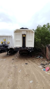 عبدالله جوهر • ٢٠٢٤ • البصره الزبير