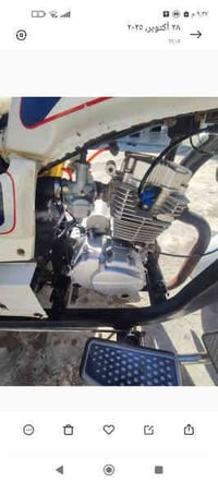 شباب ستوته دايون للبيع مديل 20 بلاد وبسعر مناسب والشراي يتصل عليه 0788...