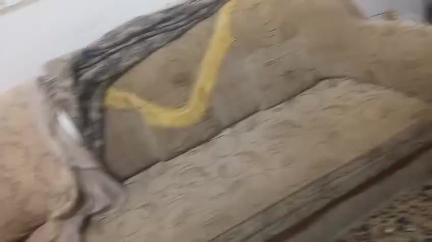 تخم ١٢ مقعد ب٨٠
كربلاء طويريج


**إذا كنت صاحب هذا الإعلان وتريد حذفه لأي سبب، رجاءا أرسل رسالة إلى الدعم الفني**