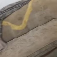 طقم ١٢ مقعد • كنب • كربلاء طويريج