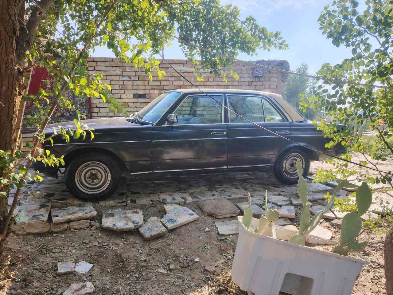 سلام عليكم مارسدس للبيع ابو جحيل موديل1983
سياره جاهز تخم تاير جدد باتري جديد تبريد شغال مكينه ٤ قبق اسود كير اوتماتيك السياره بيه خياسات بسيطه سياره خير من الله مكان السياره ذي قار قلعه سكر بيع وترهم مراوس

اتصل وبيك خير وتدلل

***********
