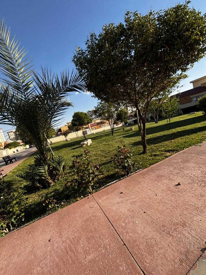 Lana City ✨
يُعدّ مجمع لانة ستي من أجمل المجمعات السكنية الحديثة في أربيل، حيث يجمع بين الفخامة والهدوء والخدمات المتكاملة 🏡🌿 يتميز بموقعه المميز وتصاميمه العصرية وأجوائه العائلية الراقية، ليمنح السكان أسلوب حياة مريح وآمن 💫

أما خضراء لانة ستي 🌳🍃 فهي عنوان للجمال والراحة، حيث تنتشر الحدائق والمساحات الخضراء التي تضفي أجواءً هادئة ومنعشة 🌸🌼 لتجعل كل لحظة داخل المجمع مليئة بالسكينة والطبيعة الجميلة 🚶‍♂️☀️

بيوت + شقق 
بيع _ ايجار 
***********
