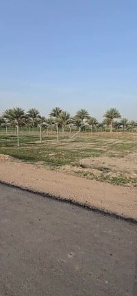 ٥٠٠م • طابو زراعي • سند ٢٥