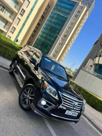 بريم اصلي • ٢٠١٣ • اربيل