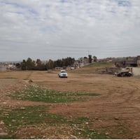 قوسيات • ١٣٠م • سند زراعي