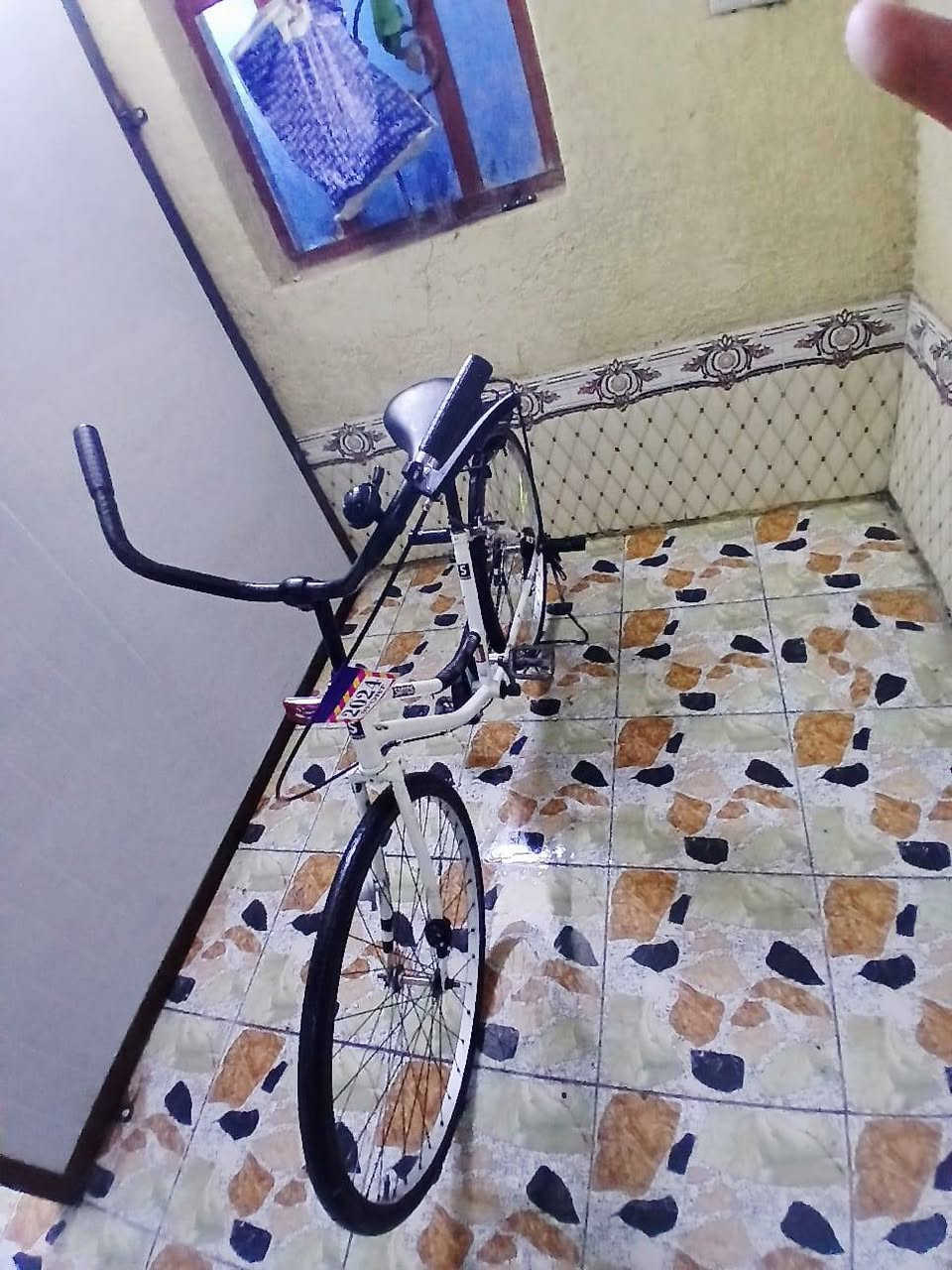 السلام عليكم باسكل لل البيع حجم 26 سانتوس بدون جاملقات الباسكل نضيف انضف من الصوره الله شاهد السعر 85 وبي مجال المكان ناصريه مركز تجي وشوف الباسكل بعينك التواصل ويه هاذا الرقم ***********
