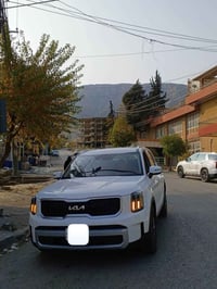 تيلورايد • ٢٠٢٤ • كلين تايتل