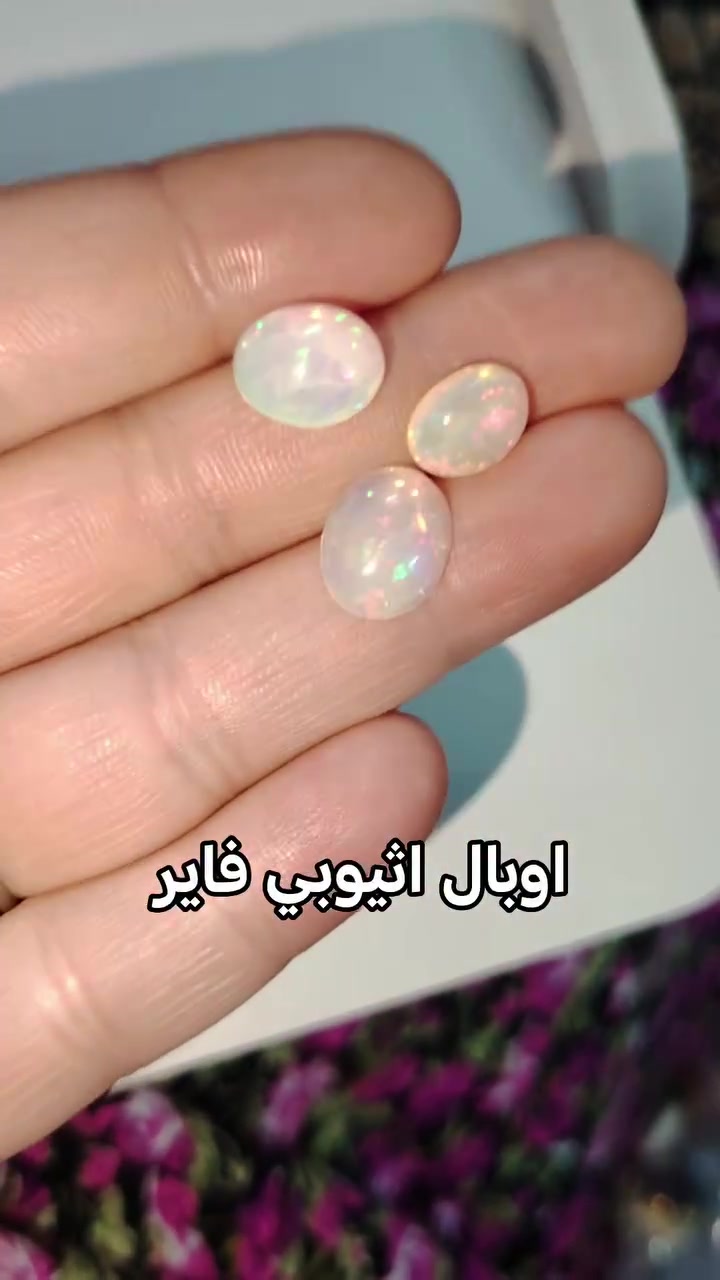 اوبال اثيوبي فاير
للاستفسار خاص
موجود توصيل لكل محافضات 5
@إشارة


**إذا كنت صاحب هذا الإعلان وتريد حذفه لأي سبب، رجاءا أرسل رسالة إلى الدعم الفني**