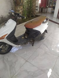 فراشة • كابريته يحتاج تنظيف • القرنة هور السعد