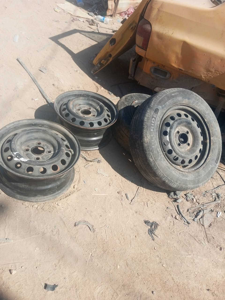 تخم ويل اسود شيري كوين للبيع مكاني بالاعظمية ***********
