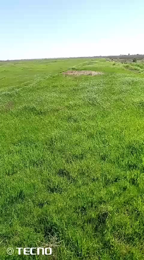 سلام عليكم يوجد جاير كوت مركز مدينه منطقة السفحه قرب المطور العقاري 70دونم   يتصل على هاذ الرقم ***********
