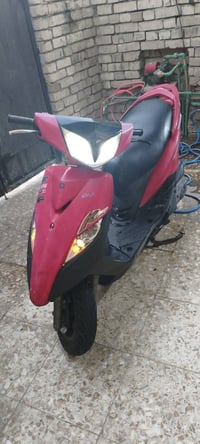 ثعلب رمبة • مكفولة • بغداد البلديات