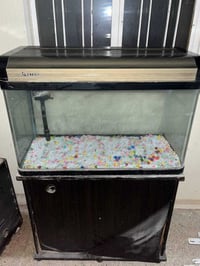 حوض سمك • موصل