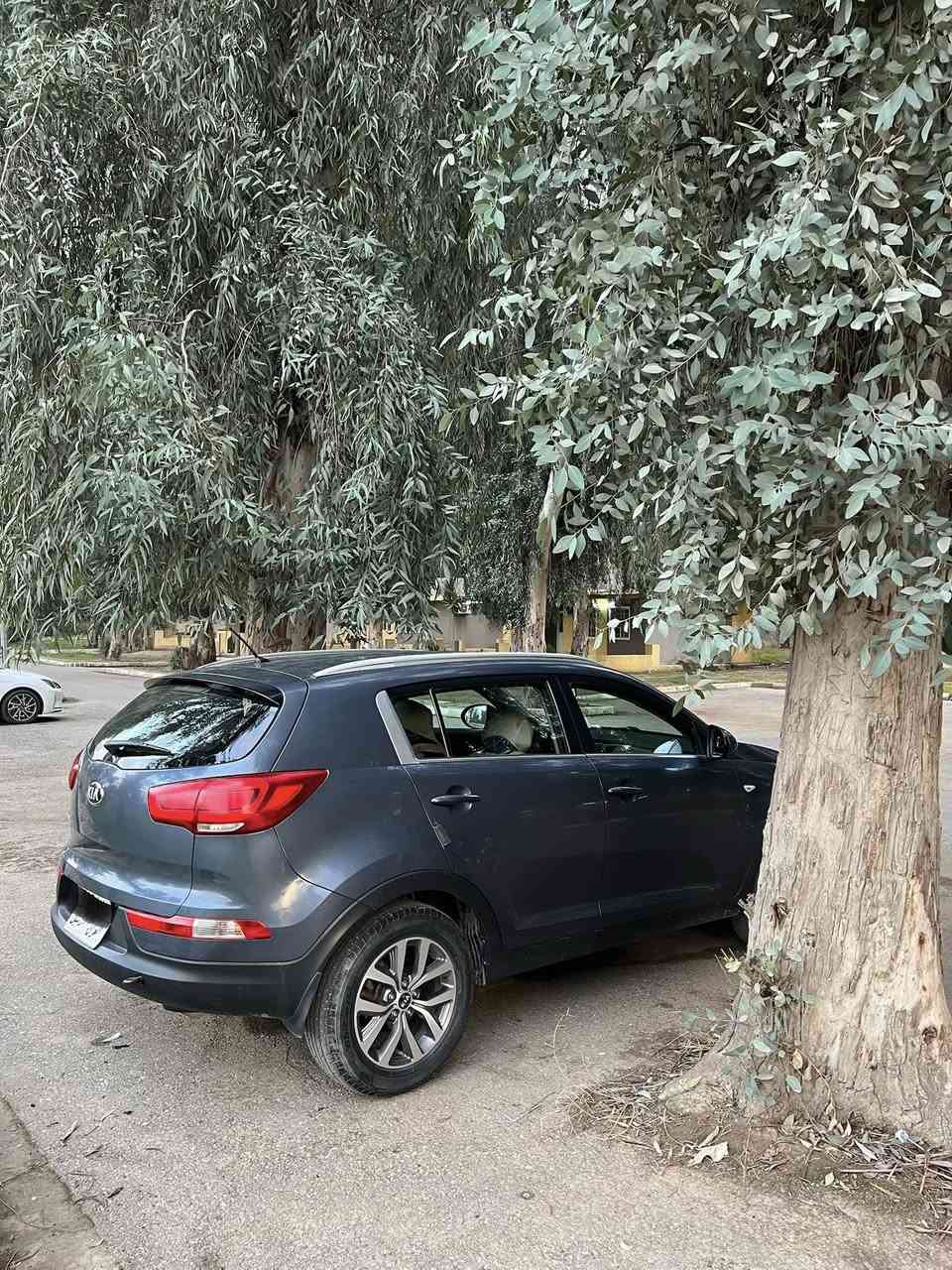 السلام عليكم كيا سبورتج للبيع مكفوله كفاله عامه خليجي رقم اربيل موديل 2015 محرك 2000 دوش ماشيه 130 الف ويل كب موصفاتها معروفة مكان السياره موصل السعر 168 وبيها مجال الشراي يتصل ***********
