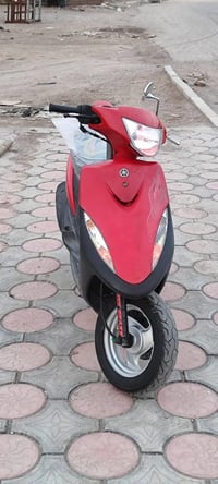 ماكس • عدلة بلدية • المجر الكبير