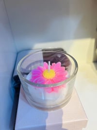 معطر • يخبل • توصيل