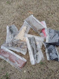 بذور خضرة • أكثر من ٥ • وياه هدايا