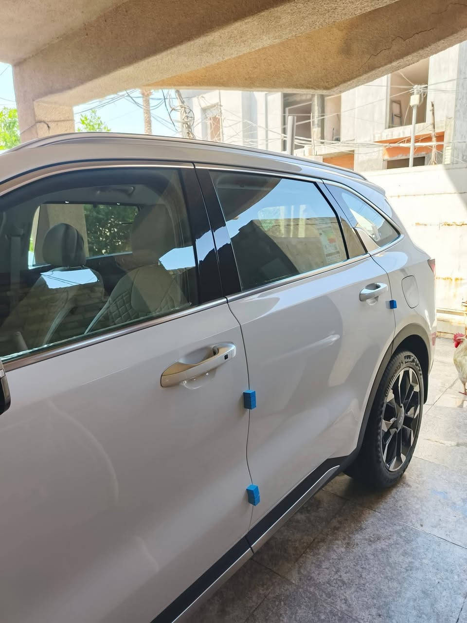 السلام عليكم سورنتو 2024  مكفولة كفاله عامه
رقم بغداد 
مواصفات
كير موس
جنطه كهرباء
كراسي كهرباء عدد ٢
افيكيشن
تشغيل عن بعد
محرك 6V
اربع عدسات
شفتات ستيرن
بعد بيه مواصفات
تلفون ***********
  

السعر305
وبيها مجال للطيبين
