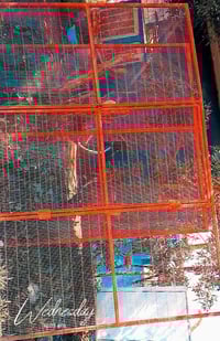 واجهة قفص • ٣م × ٢م × ٢م • المقدادية