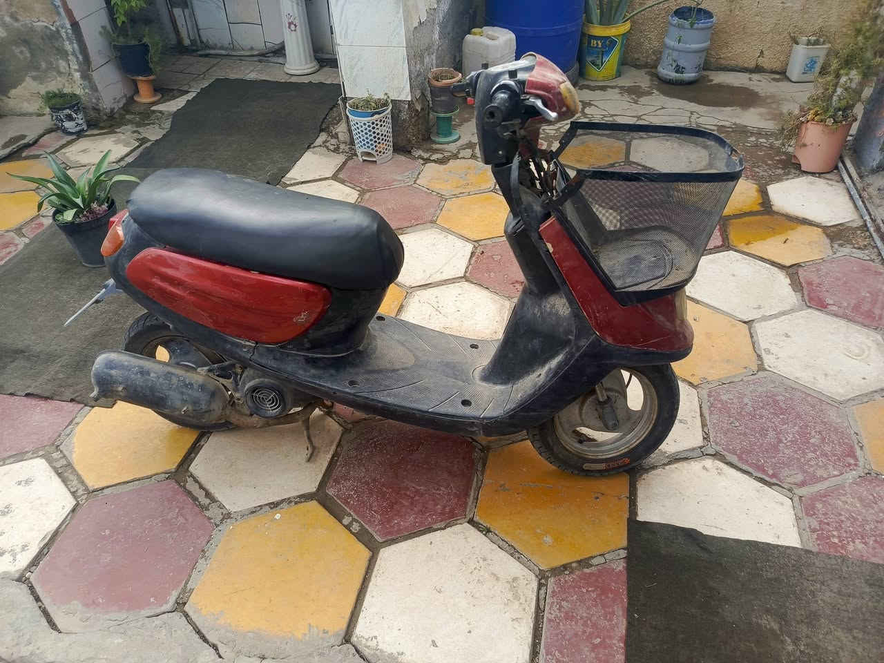 ام سله للبيع كامله
نقص بس برده مال سله.
للاستفسار .. ***********
