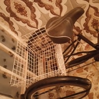 باسكل • جديد • قليل الاستخدام