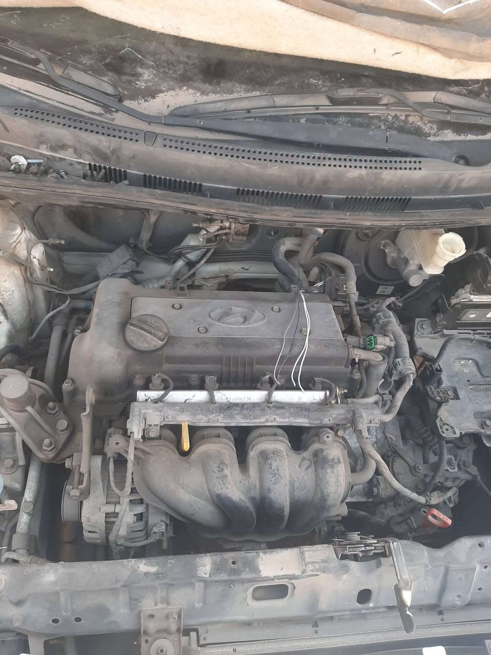 السلام عليكم 
يتوفر مكينة اكسنت مضلع خليجي 
بنيد اكسنت مضلع خليجي 
عقل اكسنت مضلع خليجي 
يتوفر توصيل لكل محافضات العراق 
التواصل اتصال او واتساب 
***********
