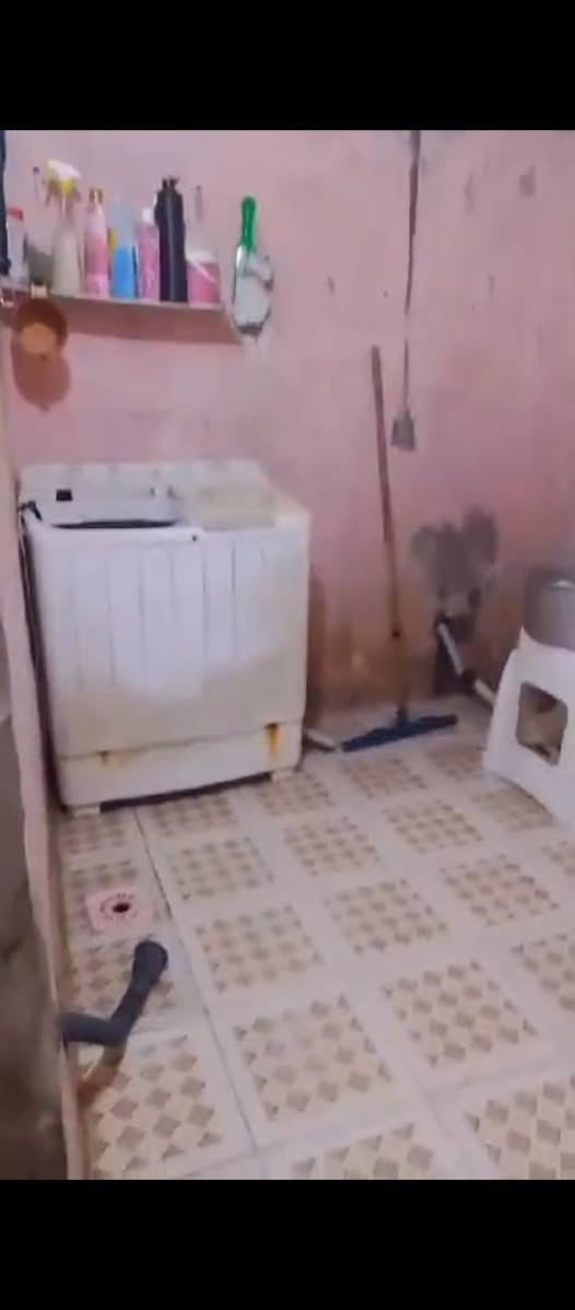 اسلام عليكم بيت تجاوز 5 ميل مقابل جسر الاگزيزه بظبط ما عليه كص تجس تسئل كل الجيران ياله تاخذ منطقه الگدامي كلهه مبلطه البيت  مثل ما واضح بل فيدو جاهز ويا مقطوره طن گيزر ماطور ماي تعال وسكن السقف نص سندويج ونص چينكو ومن داخل كله سقف ثانوي كهرباء كله جديد ع ايدي مجاري وصبغ كامل  السعر11وبي مجال  مساحه 150 متر البصرة, العراق


**إذا كنت صاحب هذا الإعلان وتريد حذفه لأي سبب، رجاءا أرسل رسالة إلى الدعم الفني**