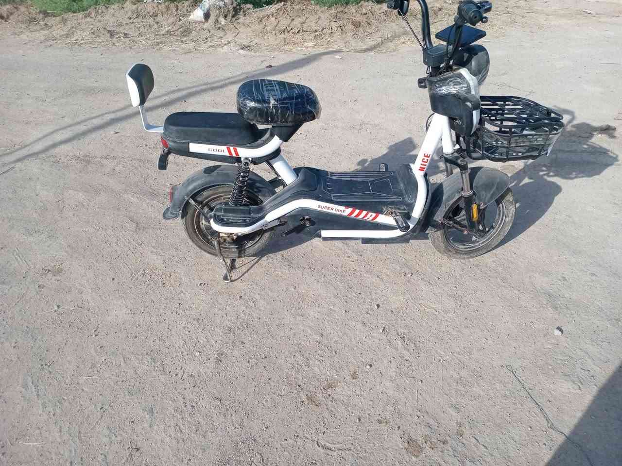 دراجه للبيع بيه عطلين تايرها مبنجر وما تشحن


**إذا كنت صاحب هذا الإعلان وتريد حذفه لأي سبب، رجاءا أرسل رسالة إلى الدعم الفني**