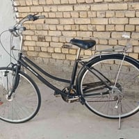 باسكل عكرب • حجم ٢٧ • شطره حولي