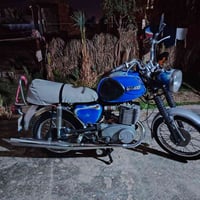 امزت ٨١ • مكفول • الرمادي الصوفيه