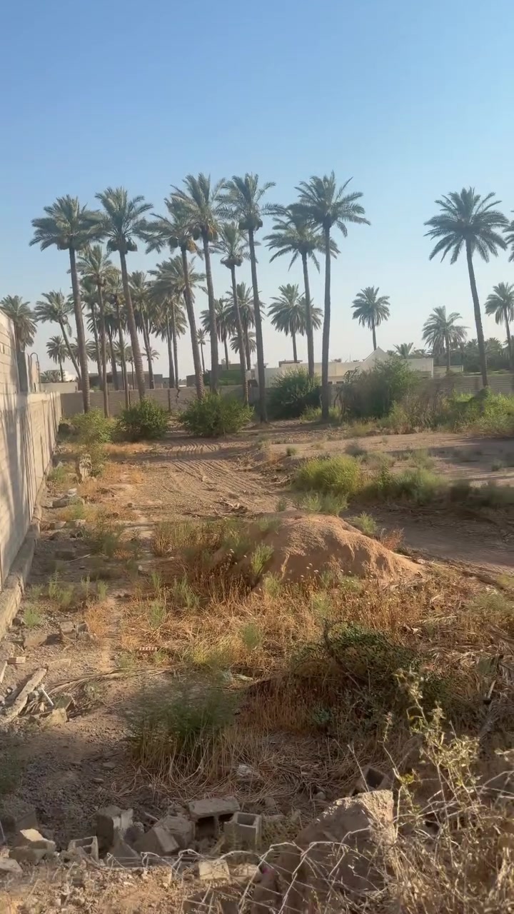دونم للبيع بسعر مناسب مقابيل النهر  بصف الركن قرب شارع الزهور
بسعر مناسب ع الشارع السدة مباشر يمتاز بموقع رائع 

للاستفسار مكتب الطائي 

*********** 

***********
