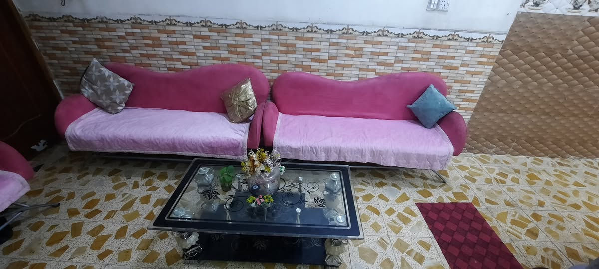 البيع تخم اصلي أوربي عنوان ميسان عماره اتصل واتساب موجود بالخدمة 《***********》 عمارة, ميسان
