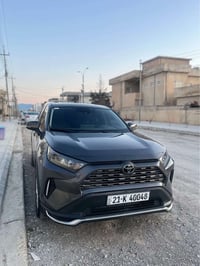 رافور • ٢٠٢٥ • السليمانية