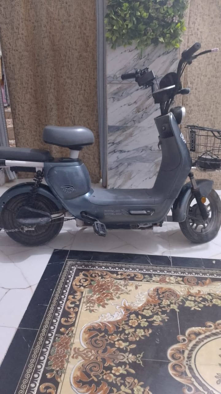 سلام عليكم دراجه شحن البيع ملاحضه؛ بدون بطاريات؛ مكان ناصريه حي اريدو


**إذا كنت صاحب هذا الإعلان وتريد حذفه لأي سبب، رجاءا أرسل رسالة إلى الدعم الفني**