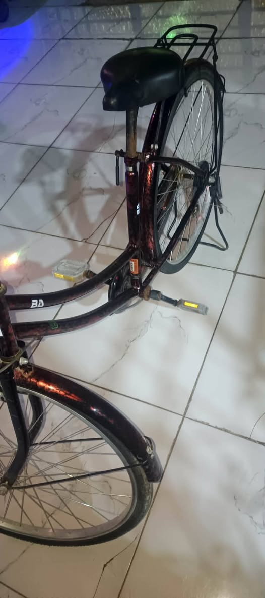 لسلام عليكم باسكل للبيع مديل2020 باسكل نضيف شخطه مابي ب120الف مكان نجف حي ميلاد


**إذا كنت صاحب هذا الإعلان وتريد حذفه لأي سبب، رجاءا أرسل رسالة إلى الدعم الفني**