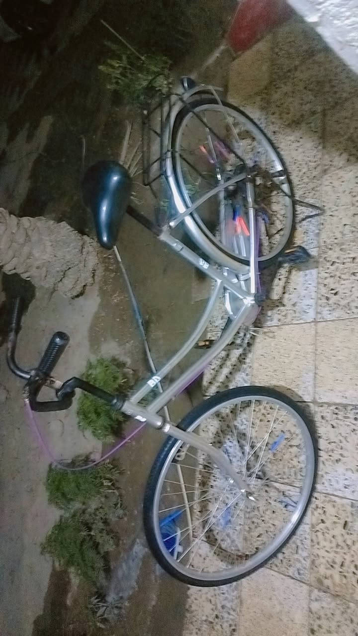 باسكل موزه بيدي مراوس


**إذا كنت صاحب هذا الإعلان وتريد حذفه لأي سبب، رجاءا أرسل رسالة إلى الدعم الفني**