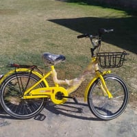 بايسكل حجم 18 • استعمال يوم واحد • جزيرت الخالديه