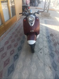 مصرية • ناعمة • سوك الشيوخ