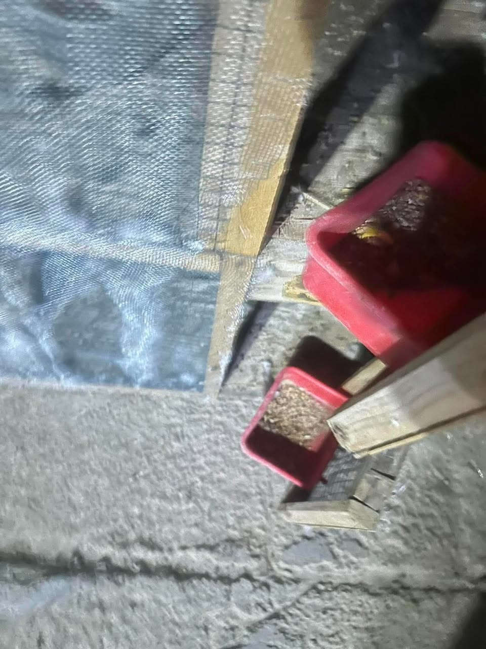 متاح خانات ام ٢ جاهزه ونضيفه مناقصه شي. مكاني ناصريه مركز تصلح دجاج او حمام


**إذا كنت صاحب هذا الإعلان وتريد حذفه لأي سبب، رجاءا أرسل رسالة إلى الدعم الفني**