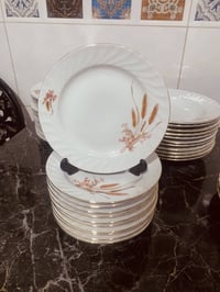 سيت بلغاري • ما مستخدم