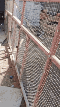 متاح سنويجات العدد ٢الطول ٦مترواجهيه الطول ٥متر ونص اربع بيبان بيهة مكاني دوانيه طريق السنيه الشراي يتصل ***********
